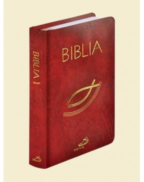 Biblia z kolorową wkładką -...