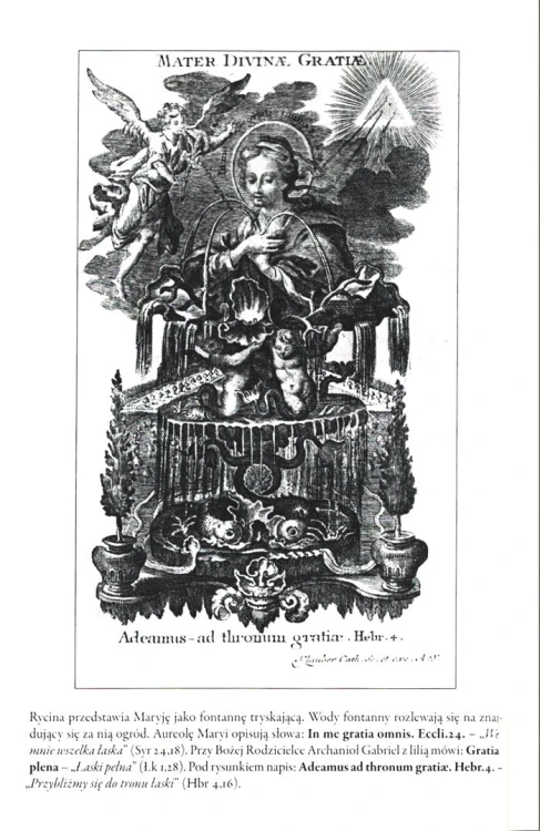 18490-19314.jpg